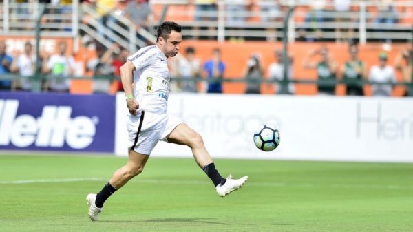 Marcos Ribolli