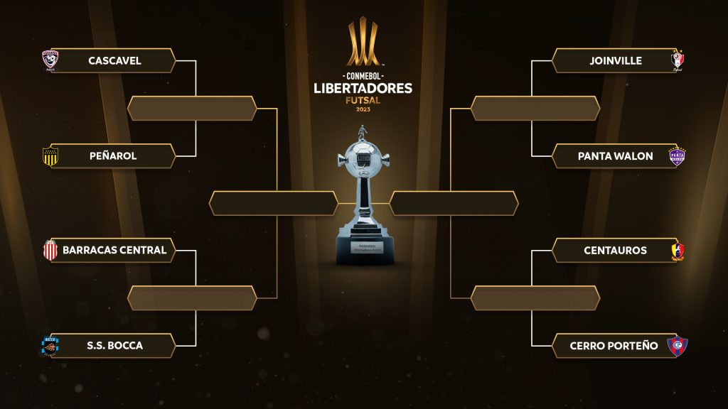 Libertadores 2023: times classificados, onde assistir e jogos da