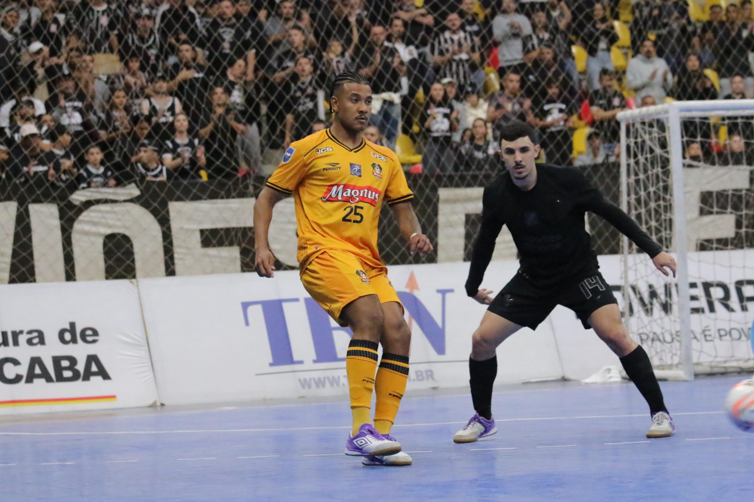 Guilherme Mansueto