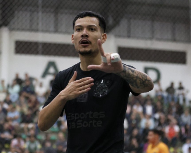 Meu Timão