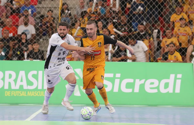 Foto Guilherme Mansuetti